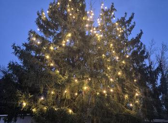 Herzliche Weihnachtsgrüße und beste Wünsche für das neue Jahr